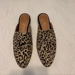 Halogen Leopard Calf Hair Mules